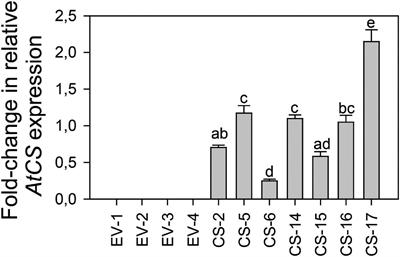 Engineered Orange Ectopically Expressing the Arabidopsis β-Caryophyllene Synthase Is Not Attractive to Diaphorina citri, the Vector of the Bacterial Pathogen Associated to Huanglongbing